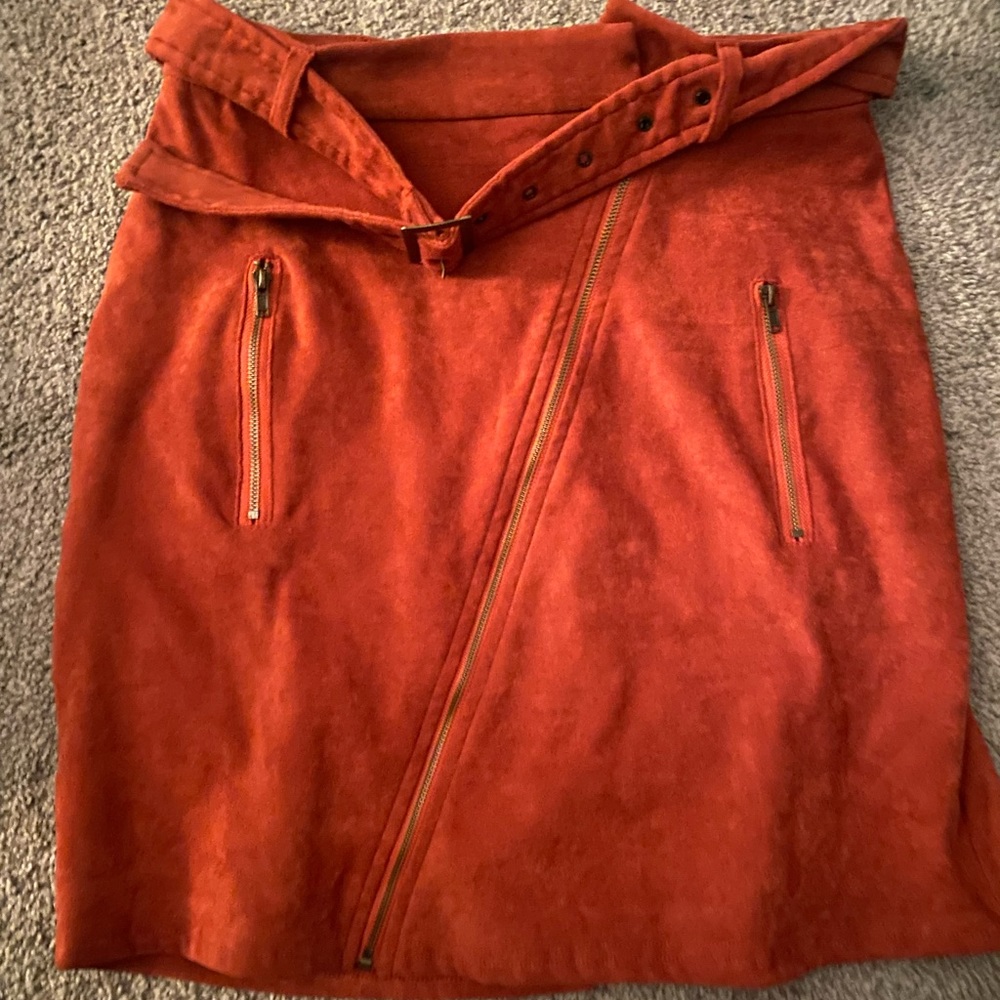 Francesca's Burnt Orange Skirt
